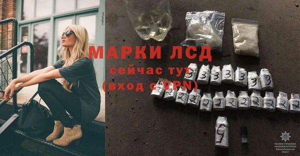 spice Беломорск
