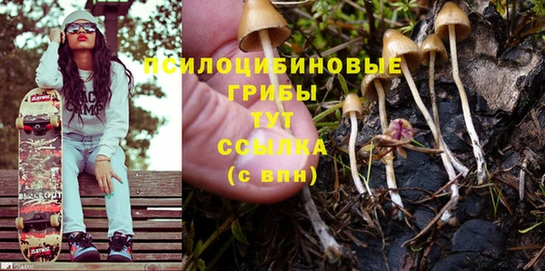первитин Белокуриха