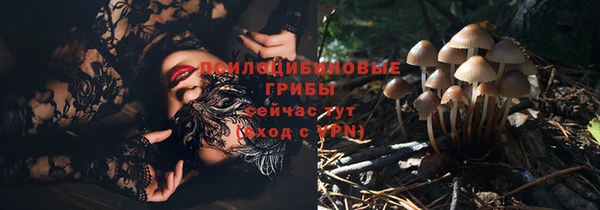 первитин Белокуриха