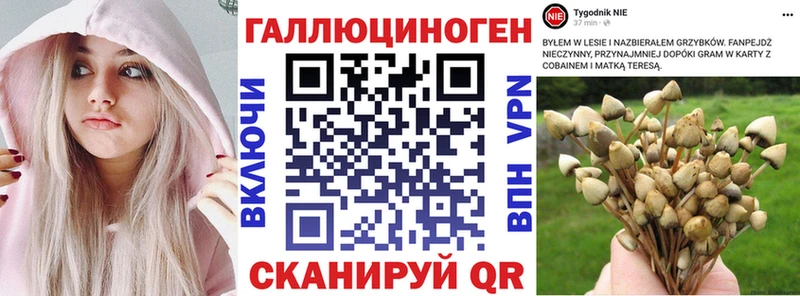 Псилоцибиновые грибы мухоморы Ногинск