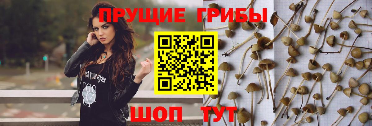 Галлюциногенные грибы мухоморы Ногинск